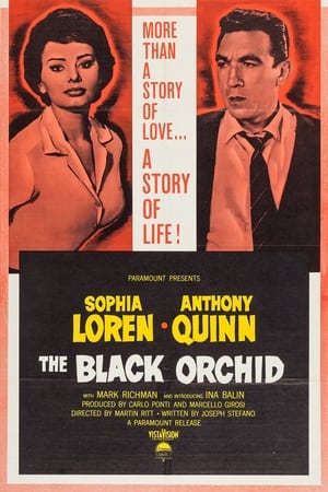 The Black Orchid watch The Black Orchid