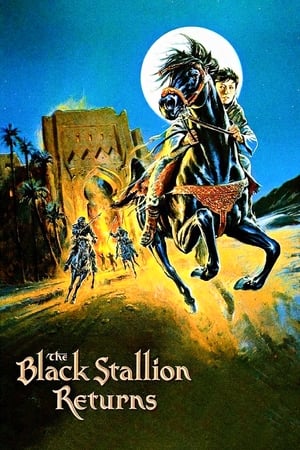 The Black Stallion Returns watch The Black Stallion Returns