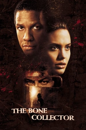 watch The Bone Collector