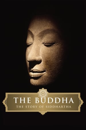 The Buddha watch The Buddha