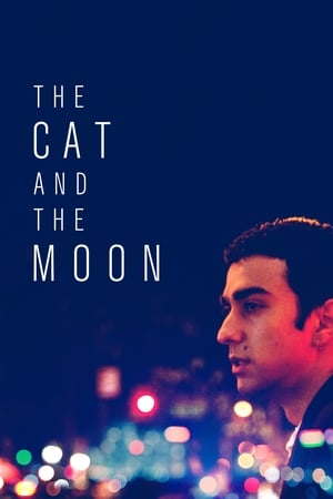 The Cat and the Moon watch The Cat and the Moon