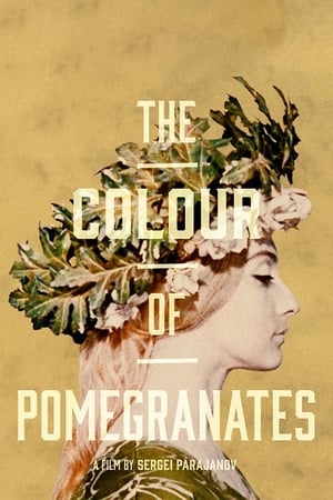watch The Color of Pomegranates