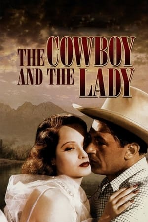 watch The Cowboy and the Lady