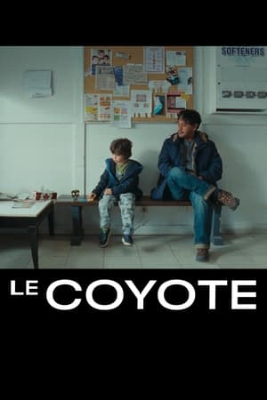 The Coyote watch The Coyote