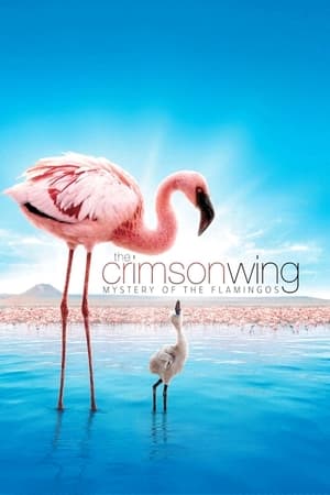 The Crimson Wing: Mystery of the Flamingos watch The Crimson Wing: Mystery of the Flamingos