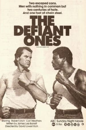 The Defiant Ones watch The Defiant Ones