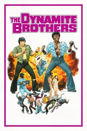 The Dynamite Brothers watch The Dynamite Brothers