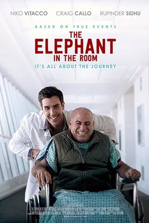 The Elephant In The Room watch The Elephant In The Room