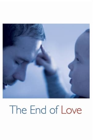 watch The End of Love