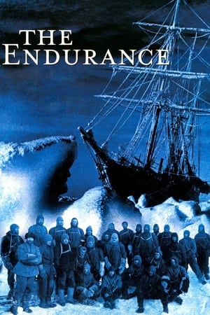 The Endurance watch The Endurance