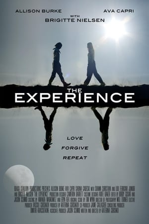The Experience watch The Experience