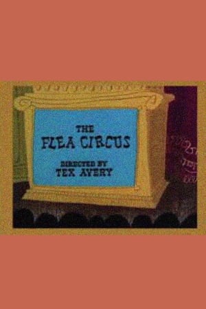 The Flea Circus watch The Flea Circus