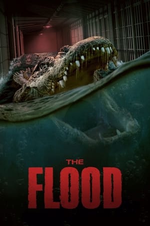 The Flood watch The Flood