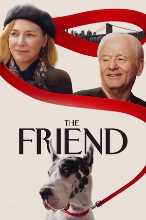 The Friend watch The Friend