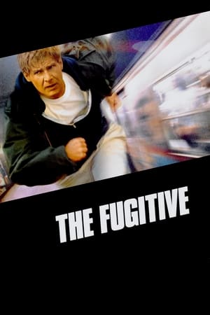 watch The Fugitive