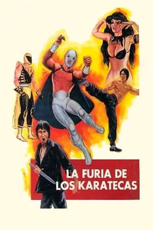 The Fury of the Karate Experts watch The Fury of the Karate Experts