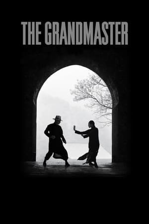 The Grandmaster watch The Grandmaster
