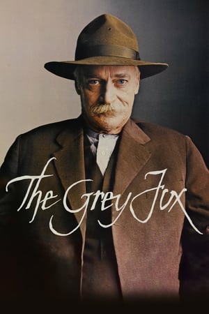 The Grey Fox watch The Grey Fox