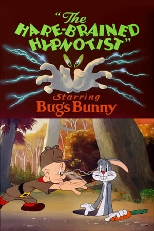 watch The Hare-Brained Hypnotist