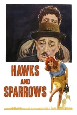 The Hawks and the Sparrows watch The Hawks and the Sparrows