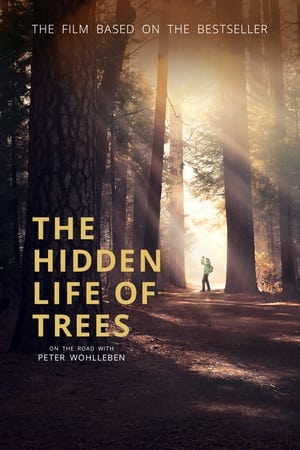 The Hidden Life of Trees watch The Hidden Life of Trees