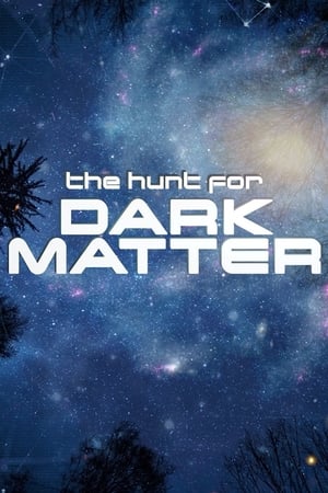 The Hunt for Dark Matter watch The Hunt for Dark Matter