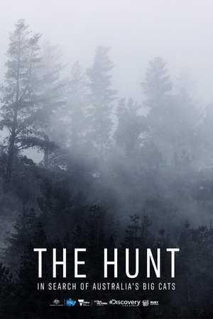 The Hunt: In Search of Australia's Big Cats watch The Hunt: In Search of Australia's Big Cats