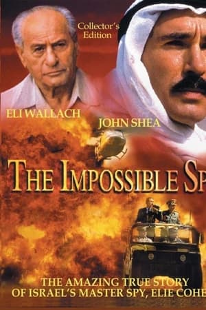 The Impossible Spy watch The Impossible Spy