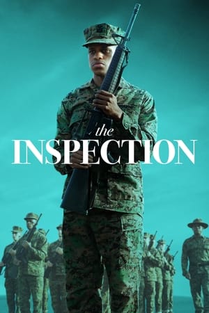 The Inspection watch The Inspection