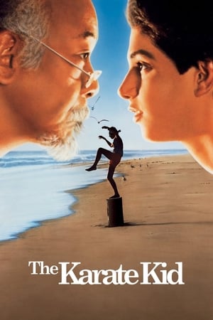 The Karate Kid watch The Karate Kid