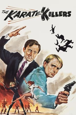 The Karate Killers watch The Karate Killers