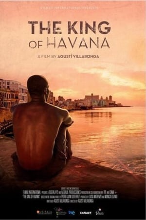 The King of Havana watch The King of Havana