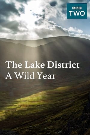 watch The Lake District: A Wild Year