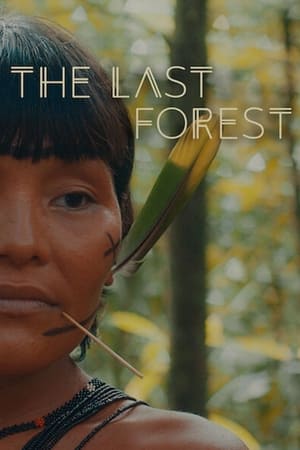 The Last Forest watch The Last Forest