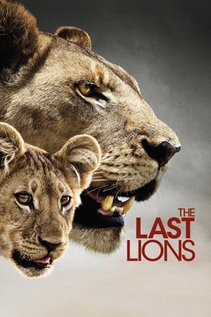 The Last Lions watch The Last Lions