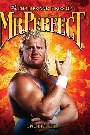 The Life and Times of Mr. Perfect watch The Life and Times of Mr. Perfect