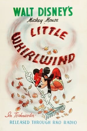 The Little Whirlwind watch The Little Whirlwind