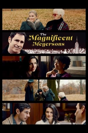 The Magnificent Meyersons watch The Magnificent Meyersons