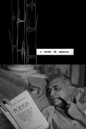 watch The Master of Apipucos