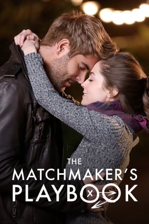 The Matchmaker's Playbook watch The Matchmaker's Playbook