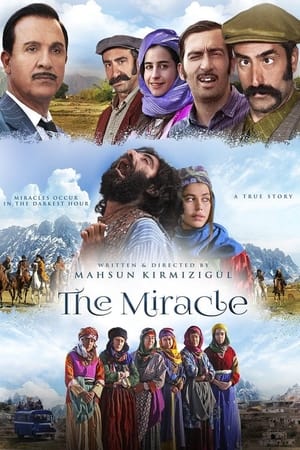 watch The Miracle