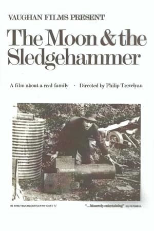 watch The Moon and the Sledgehammer
