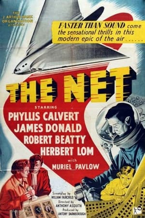 The Net watch The Net