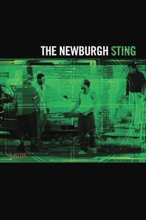The Newburgh Sting watch The Newburgh Sting