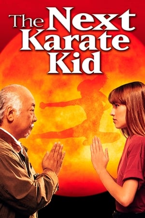 watch The Next Karate Kid