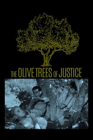 The Olive Trees of Justice watch The Olive Trees of Justice