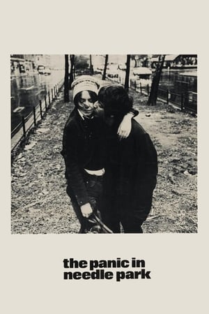 The Panic in Needle Park watch The Panic in Needle Park