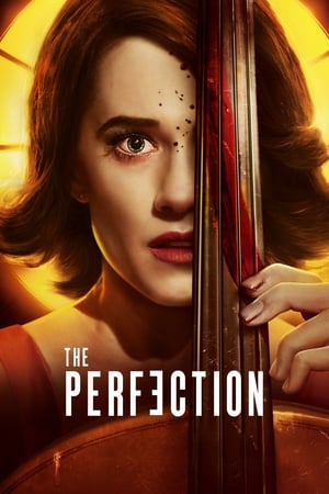 The Perfection watch The Perfection