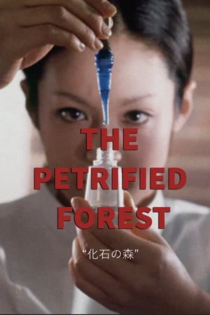 The Petrified Forest watch The Petrified Forest