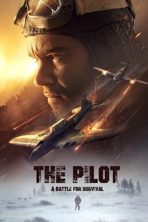 The Pilot: A Battle for Survival watch The Pilot: A Battle for Survival